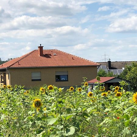 Ferienwohnung Carpe Diem Scheuerfeld Zewnętrze zdjęcie
