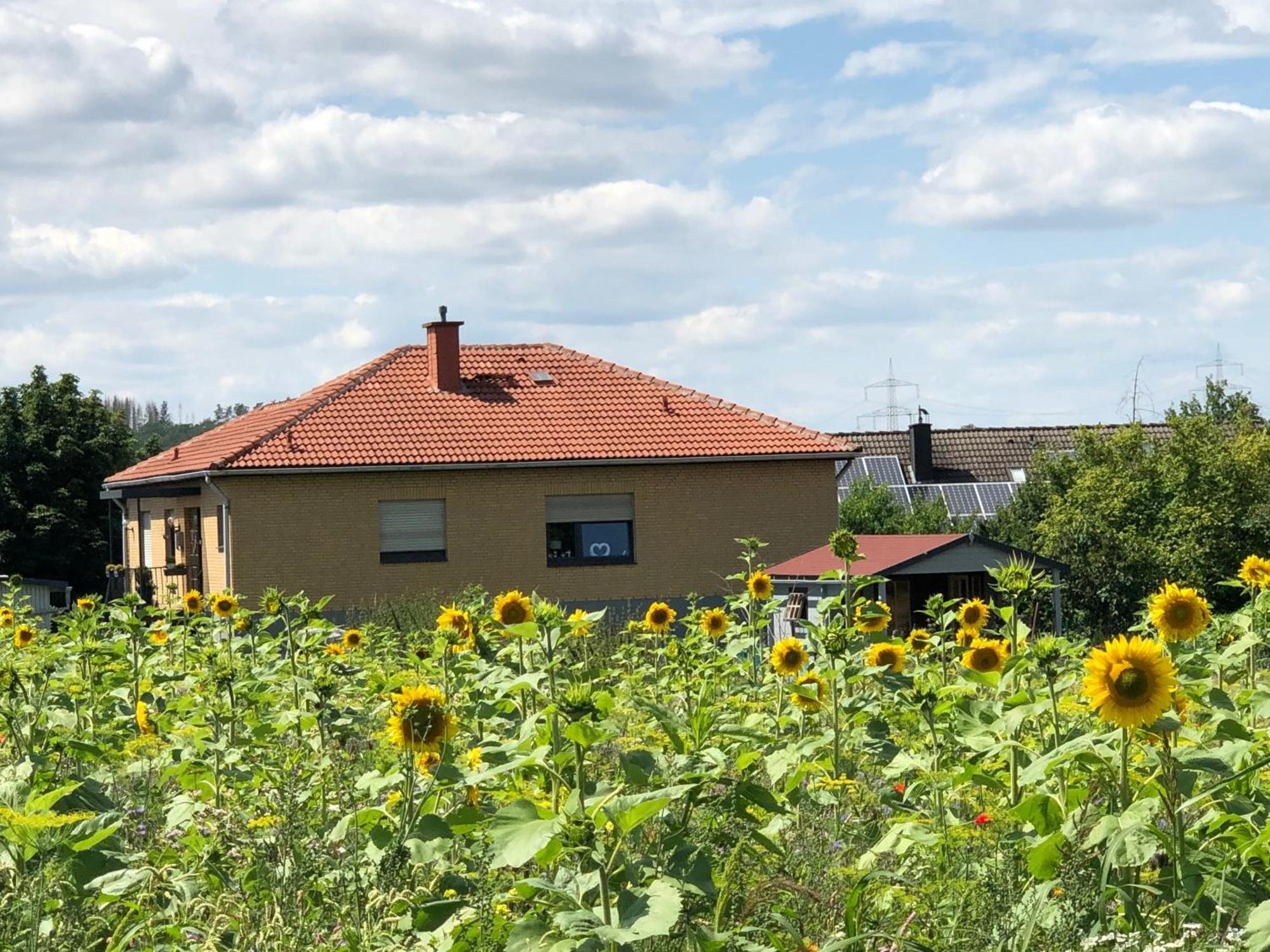 Ferienwohnung Carpe Diem Scheuerfeld Zewnętrze zdjęcie
